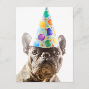 Franse Bulldog met Party Pet Briefkaart