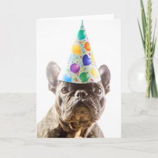 Franse Bulldog met Party Pet Kaart