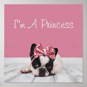 Franse Bulldog met roze Poster