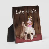 Franse Bulldog Met Verjaardag Cupcake Fotoplaat (Voorkant)