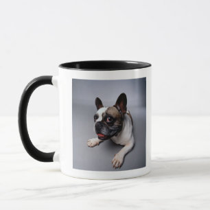 Franse Bulldog Mok