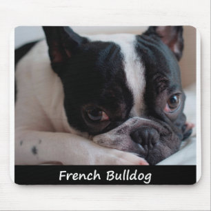 Franse Bulldog Muismat