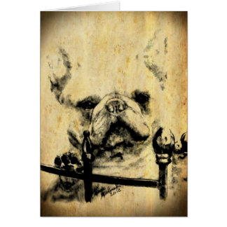 Franse Bulldog Old Time