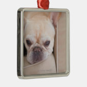 Franse bulldog op sofa metalen ornament (Rechts)