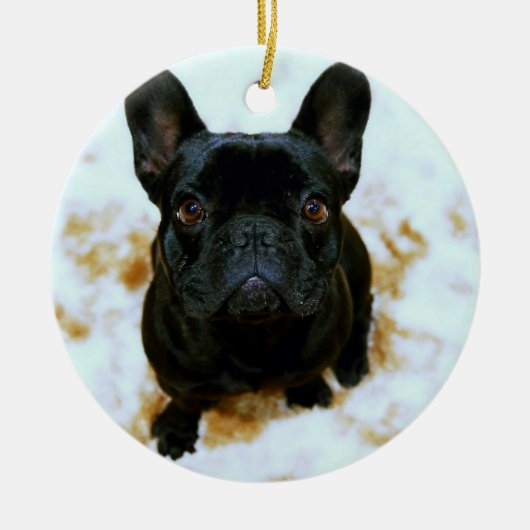 Franse Bulldog Ornament Met Jouw Foto (Voorkant)