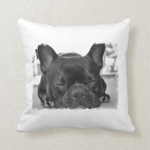 Franse Bulldog Pillow Kussen