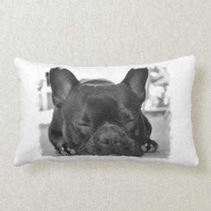 Franse Bulldog Pillow Kussen
