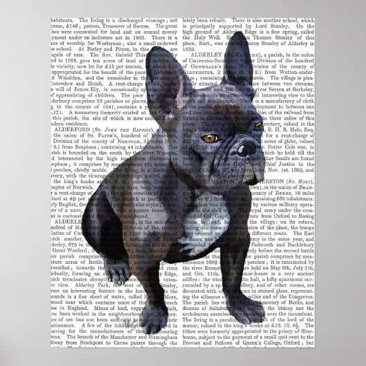 Franse Bulldog Plain Poster (Voorkant)
