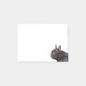 Franse Bulldog Post-it® Notes (Voorkant)