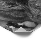 Franse Bulldog Print (Hoek)