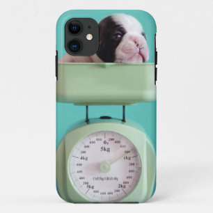 Franse Bulldog Puppy iPhone 11 Hoesje