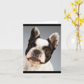 Franse Bulldog Puppy Dog Blank Note Card Kaart (Gele Bloem)