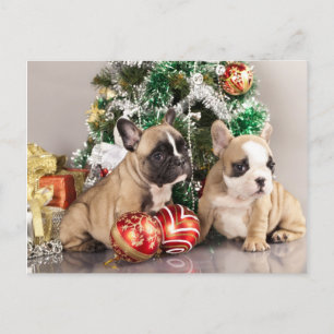 Franse bulldog puppy en kerstcadeaus feestdagenkaart