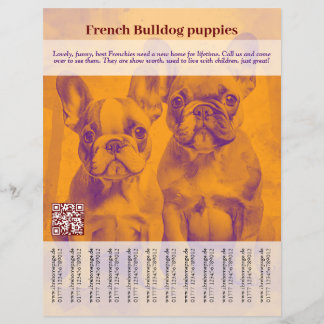 Franse Bulldog Puppy Flyer