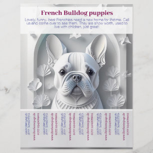 Franse Bulldog Puppy Flyer