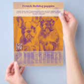 Franse Bulldog Puppy Flyer (Hand)