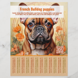 Franse Bulldog Puppy Flyer
