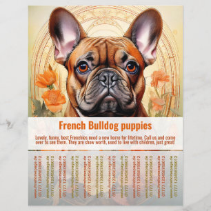 Franse Bulldog Puppy Flyer