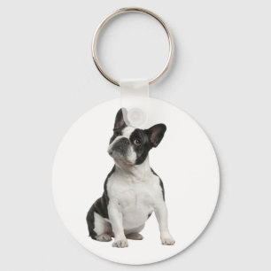Franse Bulldog Puppy Hond Moeder Adoptie Redding L Sleutelhanger