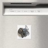 Franse bulldog Puppy Magneet (Insitu (Vaatwasser))