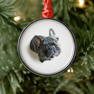 Franse bulldog Puppy Metalen Ornament