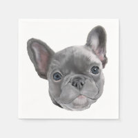 Franse bulldog Puppy