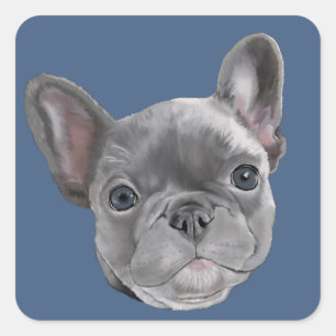 Franse bulldog Puppy Vierkante Sticker