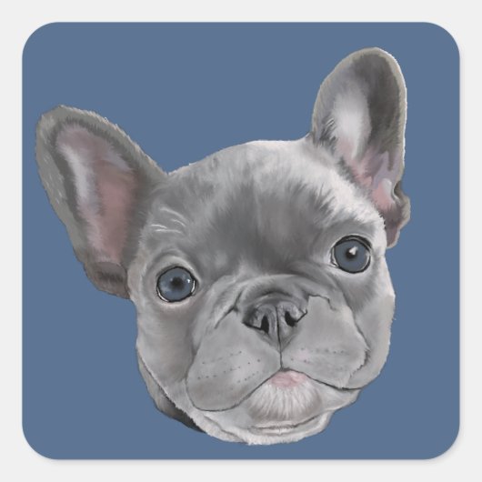 Franse bulldog Puppy Vierkante Sticker (Voorkant)
