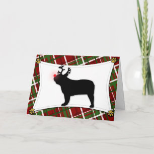 Franse Bulldog Rendier Christmas Kaart