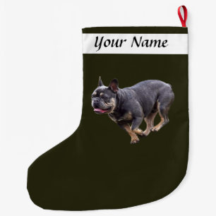 Franse Bulldog Rennend Grote Kerstsok