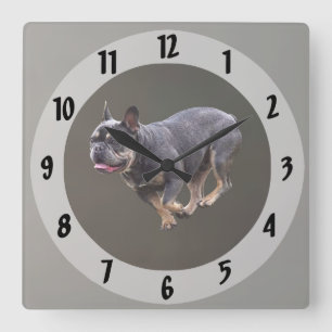Franse Bulldog Rennend Vierkante Klok