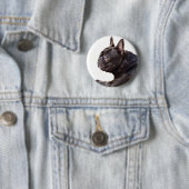 Franse Bulldog Ronde Button 5,7 Cm (In situ)
