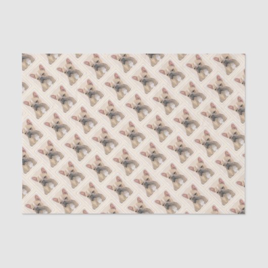 Franse Bulldog (Sable) schilderen - Cute Original Tissuepapier (Voorkant)
