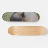 Franse Bulldog Skateboard (Horizontaal)