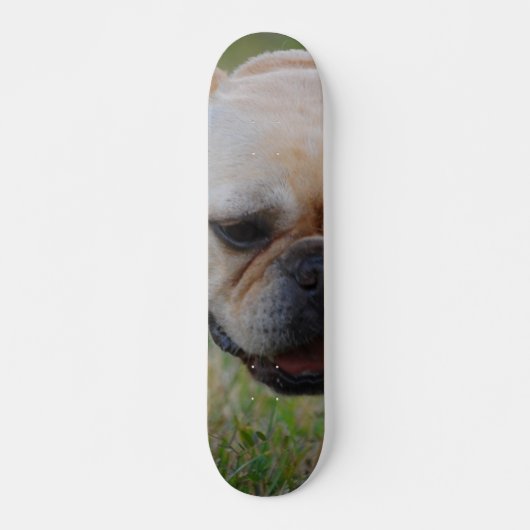Franse Bulldog Skateboard (Voorkant)