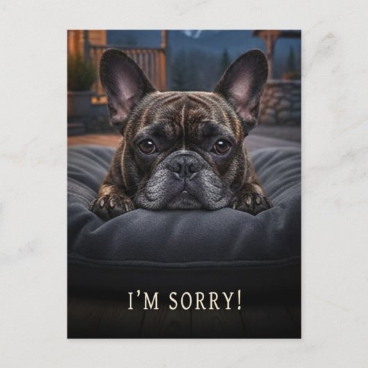 Franse Bulldog Sorry Ansichtkaart Briefkaart (Voorkant)