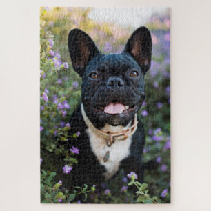 Franse Bulldog Stands in Flowers Legpuzzel