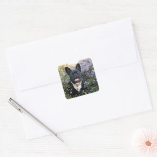 Franse Bulldog Stands in Flowers Vierkante Sticker