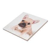 Franse Bulldog Tegeltje (Zijkant)