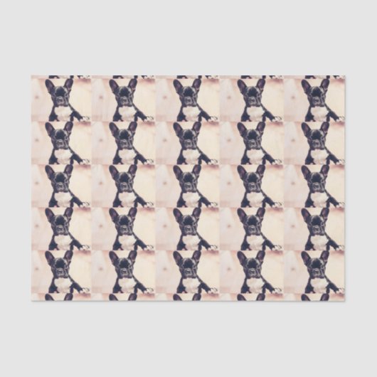 Franse Bulldog Tissuepapier (Voorkant)