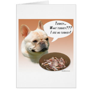 Franse Bulldog Turkije