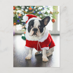 Franse Bulldog verkleed in Santa-kostuum Feestdagenkaart