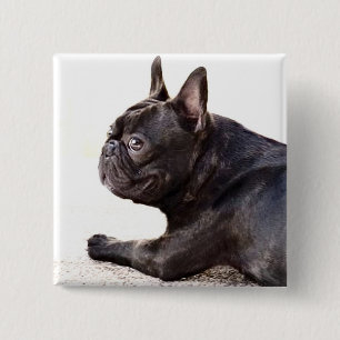 Franse Bulldog Vierkante Button 5,1 Cm