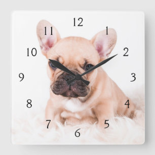 Franse Bulldog Vierkante Klok