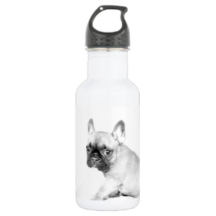 Franse Bulldog Waterfles