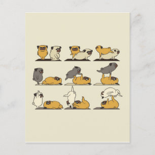 Franse Bulldog Yoga Poses   Dog Yoga Lovers Flyer