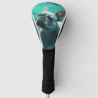 Franse Bulldog zwemmen in water 003 Golfheadcover