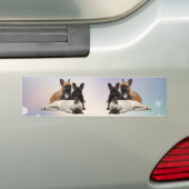 Franse Bulldoggen auto stickers (Op auto)