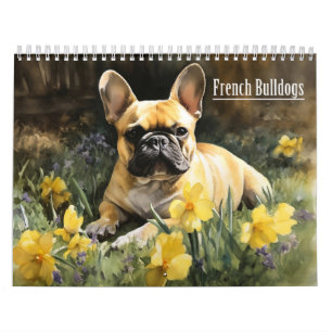 Franse Bulldogs Kalender, elk jaar Kalender