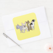 Franse Bulldogs Vierkante Sticker (Envelop)